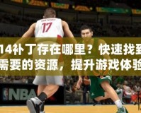 2K14補丁存在哪里？快速找到你需要的資源，提升游戲體驗