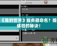 如何為《我的世界》服務(wù)器命名？提升玩家體驗(yàn)的秘訣！