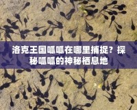 洛克王國呱呱在哪里捕捉？探秘呱呱的神秘棲息地