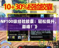 《DNF100級經(jīng)驗(yàn)?zāi)z囊：輕松提升，成就巔峰！》