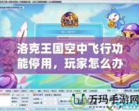 洛克王國(guó)空中飛行功能停用，玩家怎么辦？