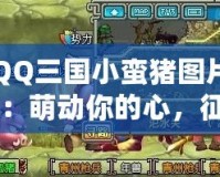 QQ三國(guó)小蠻豬圖片：萌動(dòng)你的心，征服你的眼