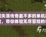 和失落傳奇差不多的單機(jī)游戲，帶你體驗(yàn)無盡冒險(xiǎn)的奇妙旅程