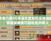天龍八部3D手游天武如何反彈技能，掌握反彈技巧輕松應(yīng)對(duì)敵人
