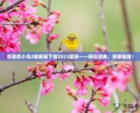 憤怒的小鳥(niǎo)2破解版下載2023最新——暢玩經(jīng)典，突破極限！