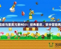《新超級(jí)馬里奧兄弟NDS：經(jīng)典重啟，掌中冒險(xiǎn)再出發(fā)》