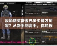 反恐精英需要充多少錢才厲害？從新手到高手，你的投資價(jià)值幾何！