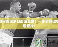 如何查詢夢幻西游點(diǎn)數(shù)？一步步教你快速查找！