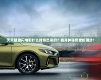 天天酷跑閃電豹什么時(shí)候出來(lái)的？揭開(kāi)神秘新寵的面紗！