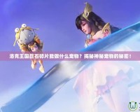 洛克王國巨石碎片能做什么寵物？揭秘神秘寵物的秘密！