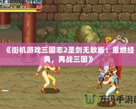 《街機(jī)游戲三國志2圣劍無敵版：重燃經(jīng)典，再戰(zhàn)三國》