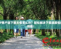 CF客戶端下載太慢怎么辦？輕松解決下載速度慢的煩惱！