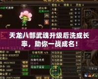 天龍八部武魂升級(jí)后洗成長(zhǎng)率，助你一戰(zhàn)成名！