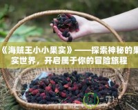 《海賊王小小果實》——探索神秘的果實世界，開啟屬于你的冒險旅程