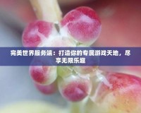 完美世界服務端：打造你的專屬游戲天地，盡享無限樂趣