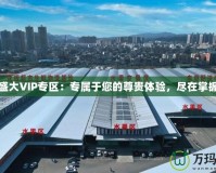 盛大VIP專區(qū)：專屬于您的尊貴體驗(yàn)，盡在掌握