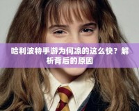 哈利波特手游為何涼的這么快？解析背后的原因