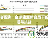 石油騷動：全球能源新變局下的機(jī)遇與挑戰(zhàn)