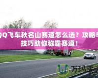 QQ飛車秋名山賽道怎么選？攻略與技巧助你稱霸賽道！