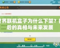 我的世界聯(lián)機(jī)盒子為什么下架？揭秘背后的真相與未來發(fā)展