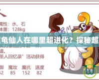 洛克王國龜仙人在哪里超進(jìn)化？探秘超進(jìn)化之路