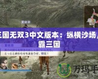 真三國無雙3中文版本：縱橫沙場，稱霸三國