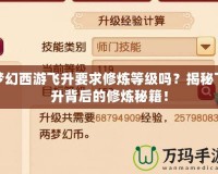 夢(mèng)幻西游飛升要求修煉等級(jí)嗎？揭秘飛升背后的修煉秘籍！