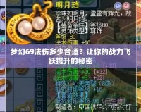 夢(mèng)幻69法傷多少合適？讓你的戰(zhàn)力飛躍提升的秘密