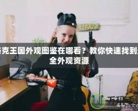 洛克王國外觀圖鑒在哪看？教你快速找到最全外觀資源