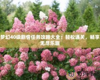 夢幻40級劇情任務攻略大全：輕松通關，暢享無盡樂趣