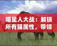 喵星人大戰(zhàn)：解鎖所有貓屬性，帶領(lǐng)貓咪軍團(tuán)制霸宇宙！