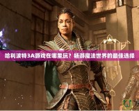 哈利波特3A游戲在哪里玩？暢游魔法世界的最佳選擇