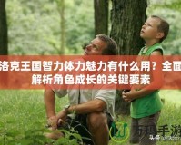 洛克王國智力體力魅力有什么用？全面解析角色成長的關鍵要素