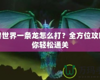 魔獸世界一條龍?jiān)趺创颍咳轿还ヂ灾爿p松通關(guān)