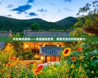 月影單機(jī)游戲——穿越虛擬世界，感受沉浸式的游戲魅力