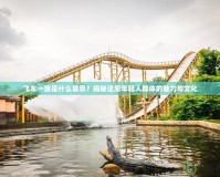 飛車一族是什么意思？揭秘這股年輕人群體的魅力與文化