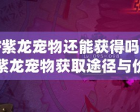 DNF紫龍寵物還能獲得嗎？探秘紫龍寵物獲取途徑與價(jià)值