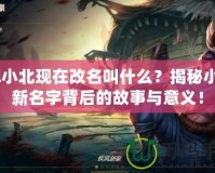 lol小北現(xiàn)在改名叫什么？揭秘小北新名字背后的故事與意義！