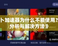 《蘿卜加速器為什么不能使用？全面分析與解決方法》