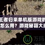 傳奇王者歸來單機版游戲的探測項鏈怎么用？游戲秘籍大揭秘！