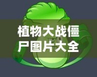 植物大戰(zhàn)僵尸圖片大全簡(jiǎn)筆畫植物圖鑒，讓你輕松掌握所有植物與僵尸！