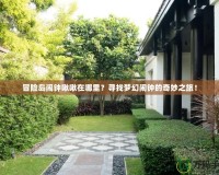 冒險島鬧鐘啾啾在哪里？尋找夢幻鬧鐘的奇妙之旅！