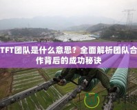 TFT團(tuán)隊(duì)是什么意思？全面解析團(tuán)隊(duì)合作背后的成功秘訣
