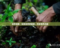 采藥攻略：探索自然的秘密，開啟草藥之旅