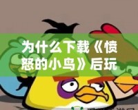 為什么下載《憤怒的小鳥(niǎo)》后玩不了？問(wèn)題分析與解決方法