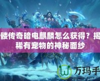 骷髏傳奇暗電麒麟怎么獲得？揭開(kāi)稀有寵物的神秘面紗