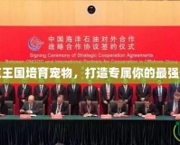 洛克王國培育寵物，打造專屬你的最強伙伴
