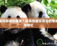 請問嘟嘟在哪里？探索隱藏在背后的情感與回憶