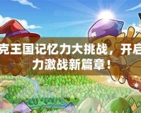 洛克王國記憶力大挑戰(zhàn)，開啟腦力激戰(zhàn)新篇章！