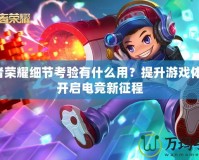 王者榮耀細(xì)節(jié)考驗(yàn)有什么用？提升游戲體驗(yàn)，開啟電競新征程